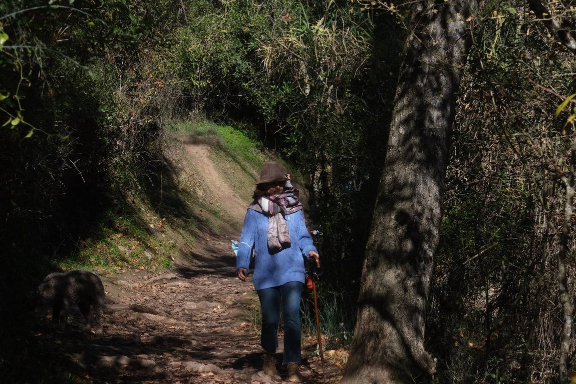 Fotos: La Sierra de Cádiz durante el Puente de Diciembre
