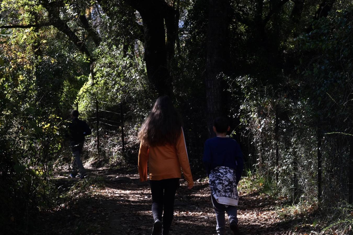 Fotos: La Sierra de Cádiz durante el Puente de Diciembre