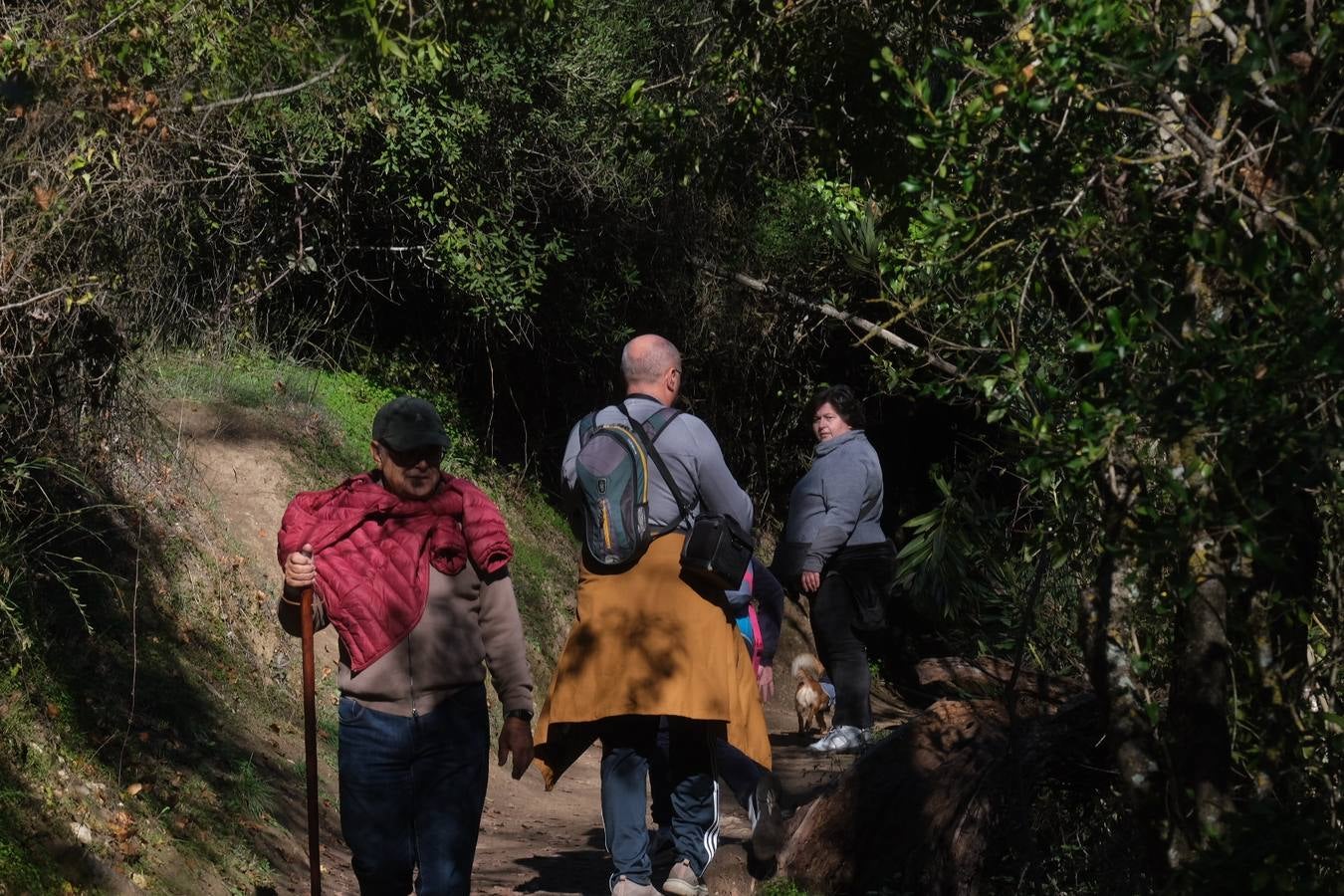 Fotos: La Sierra de Cádiz durante el Puente de Diciembre