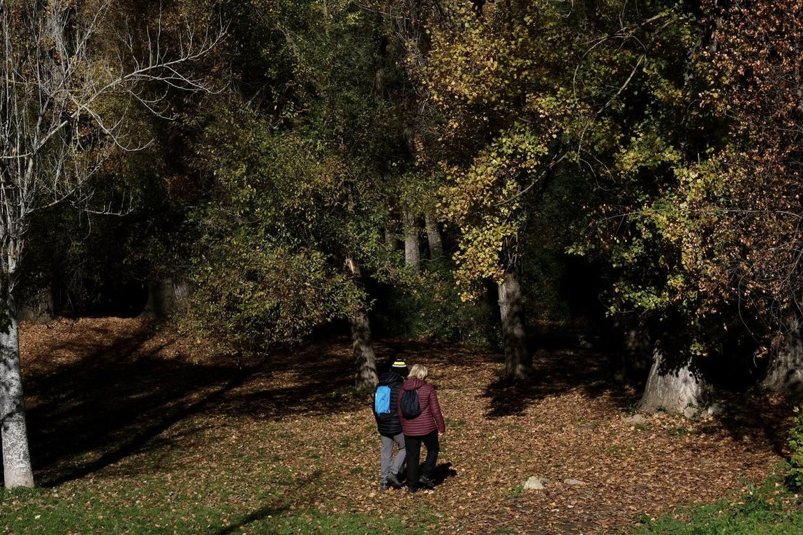 Fotos: La Sierra de Cádiz durante el Puente de Diciembre