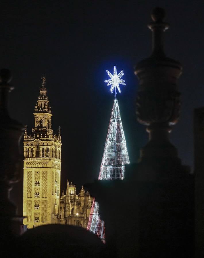 Encendido del árbol de luces led en la Plaza de San Francisco. RAÚL DOBLADO