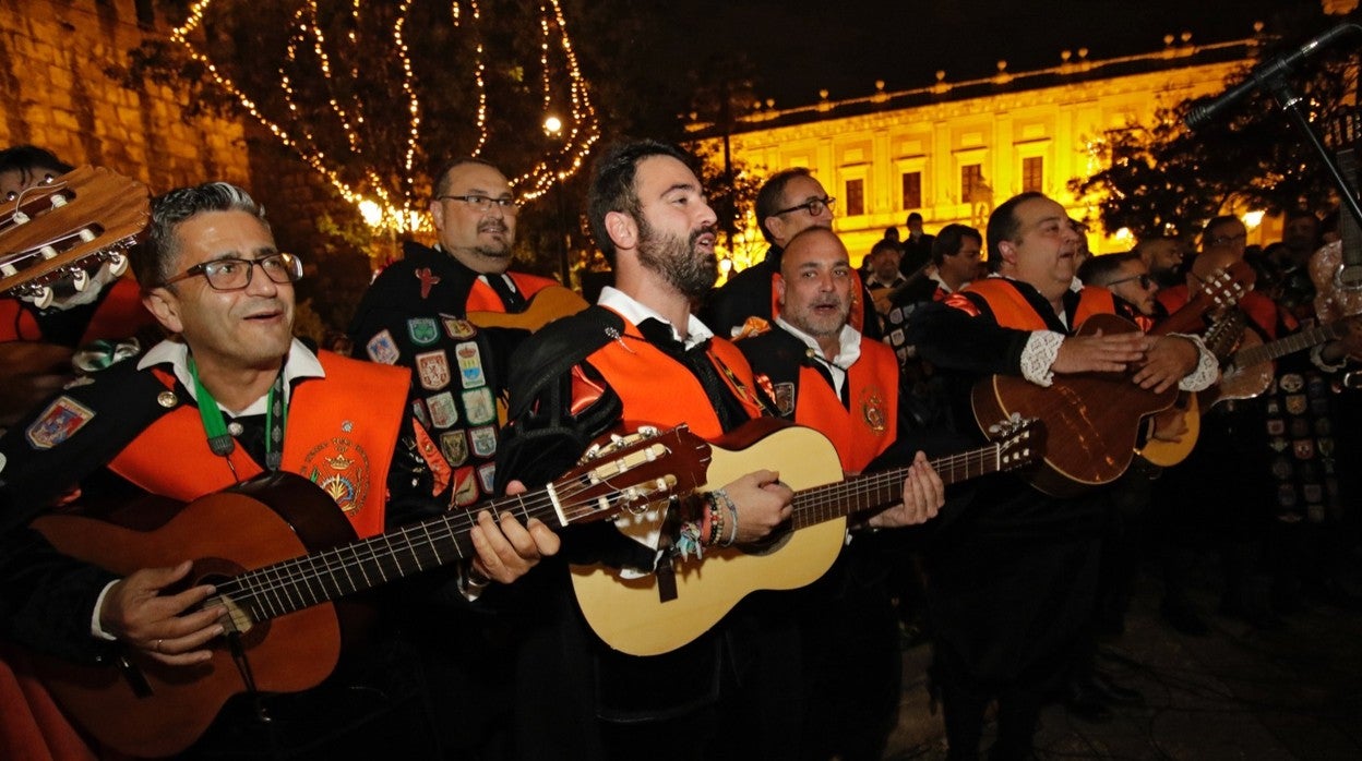 Las tunas le cantan a la Inmaculada