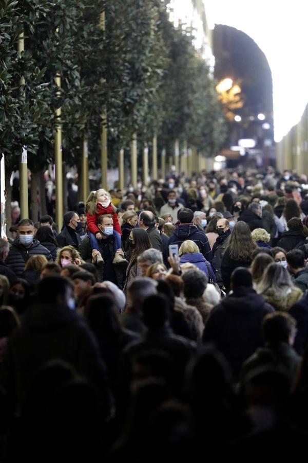 El ambiente prenavideño de Córdoba. en imágenes
