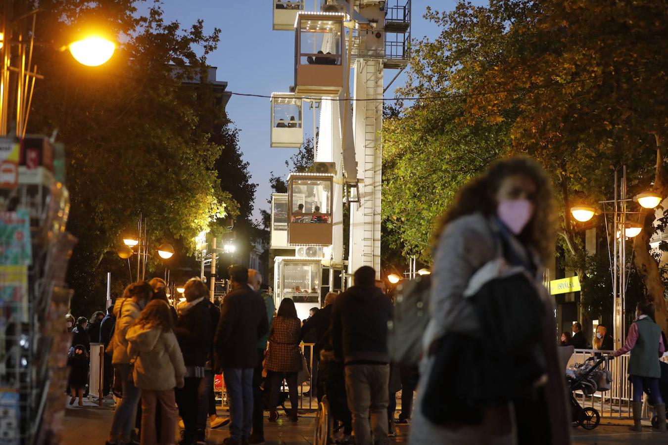 El ambiente prenavideño de Córdoba. en imágenes