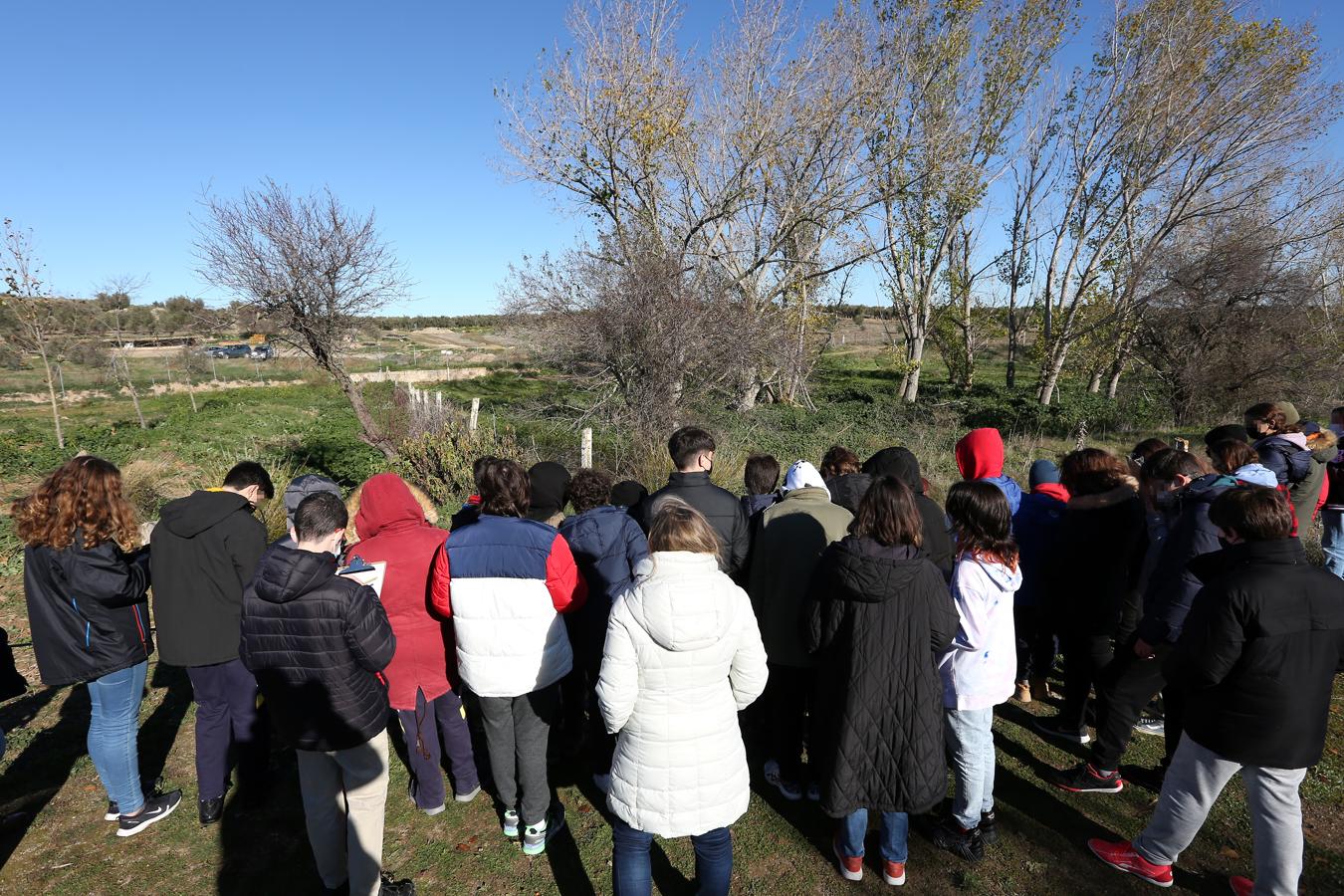 Alumnos del colegio 'Decroly' junto al lugar donde se halló el tesoro. 