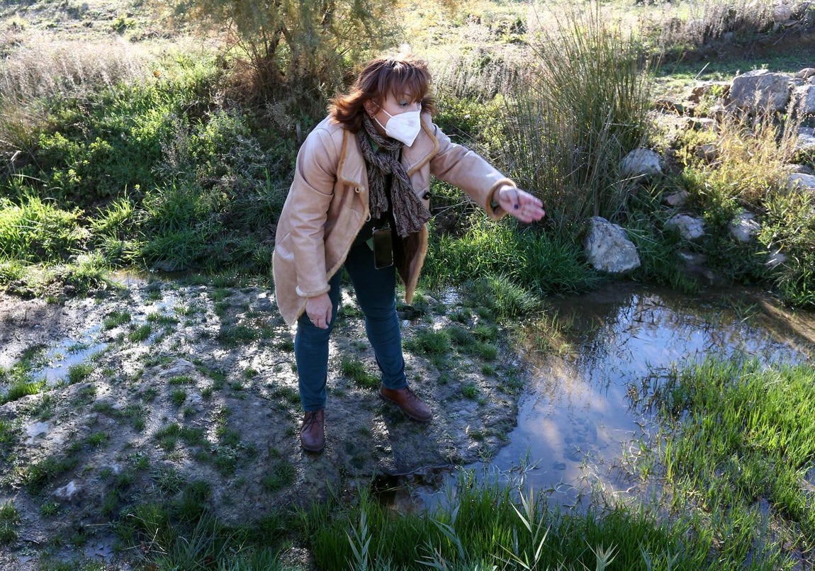 La alcaldesa de Guadamur, Sagrario Gutiérrez. 