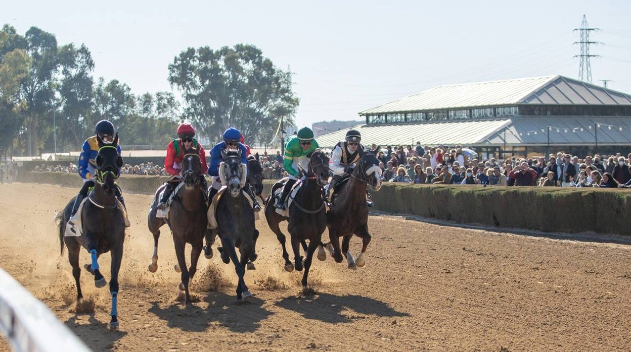 Pineda celebra 80 años de turf con cinco carreras, en imágenes