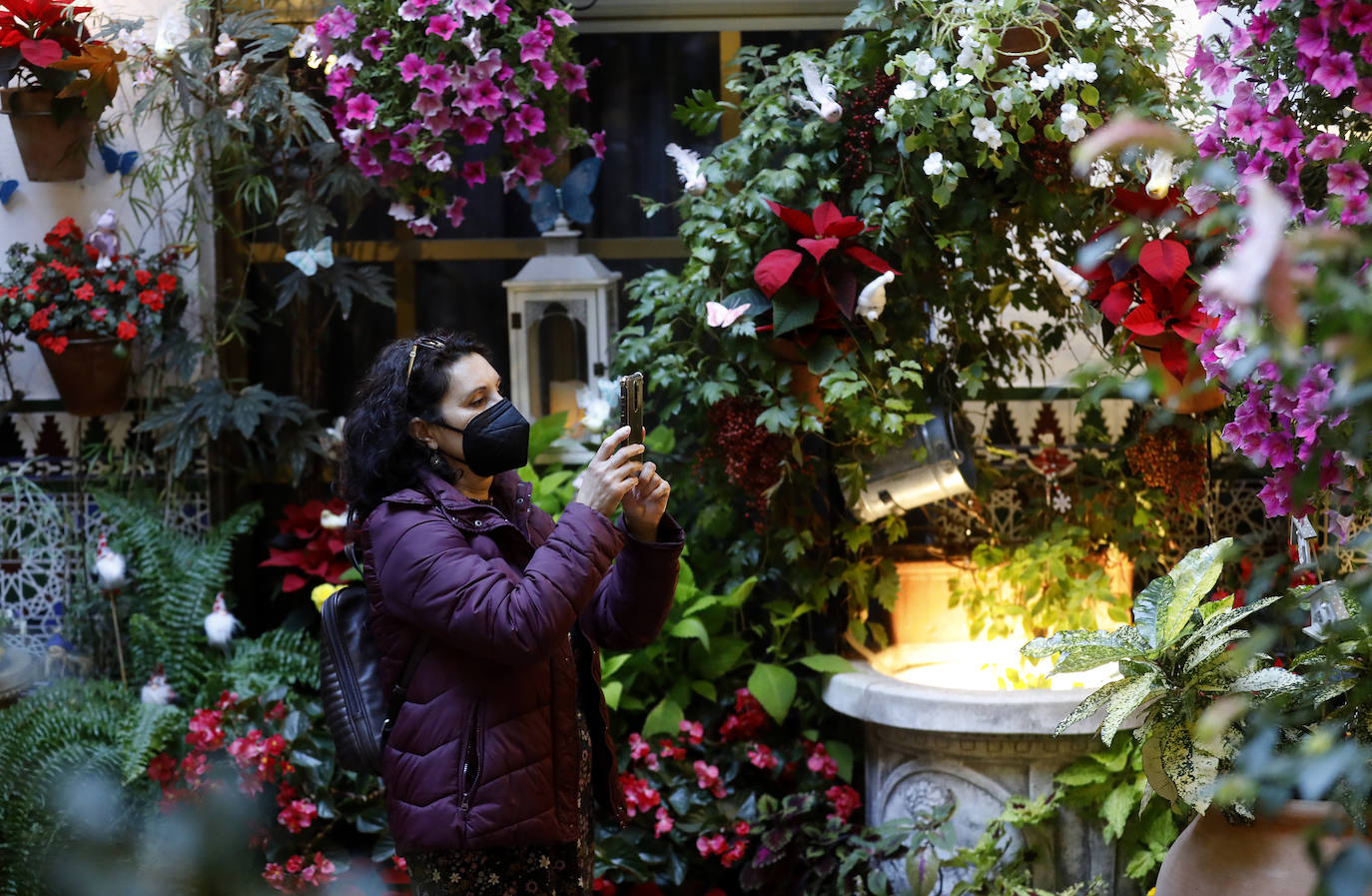 La apertura de los Patios de Córdoba en Navidad, en imágenes