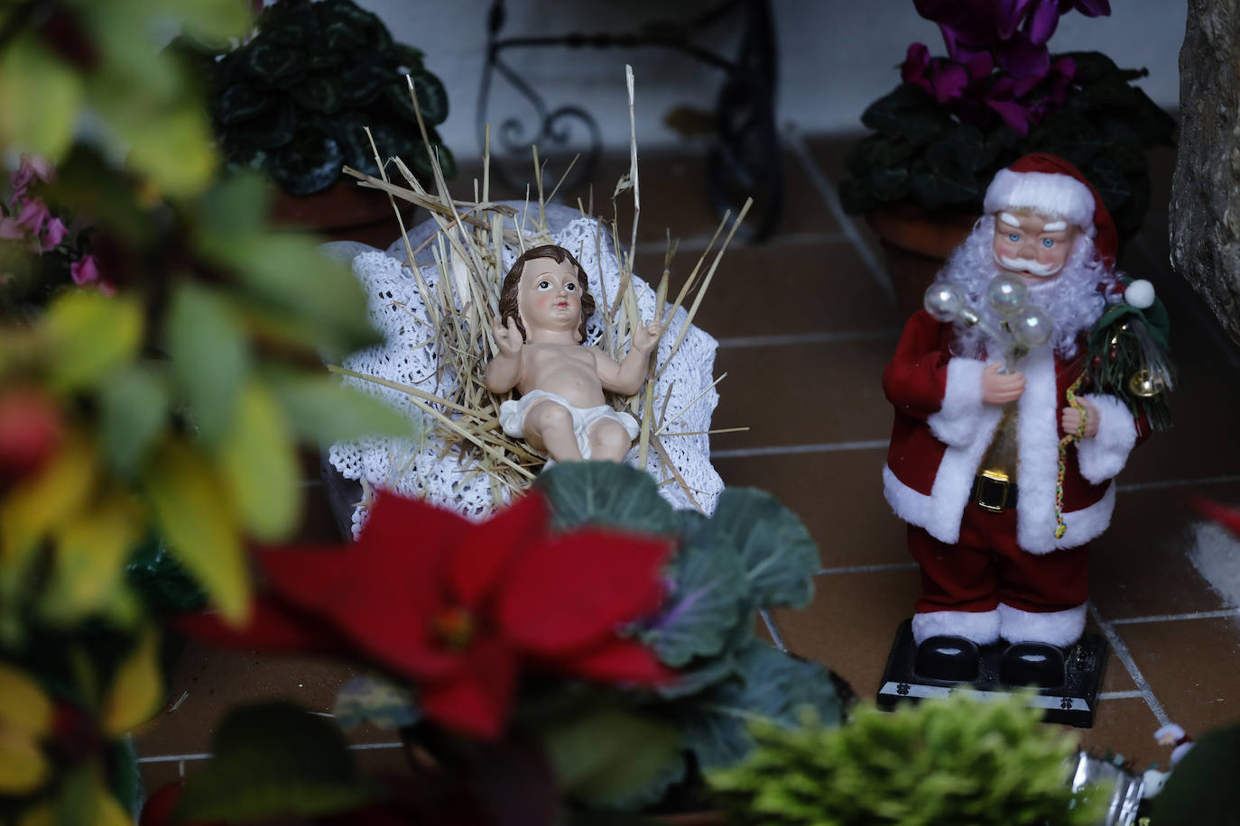 La apertura de los Patios de Córdoba en Navidad, en imágenes