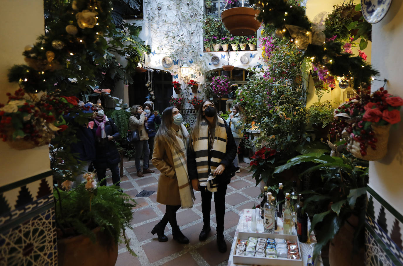 La apertura de los Patios de Córdoba en Navidad, en imágenes