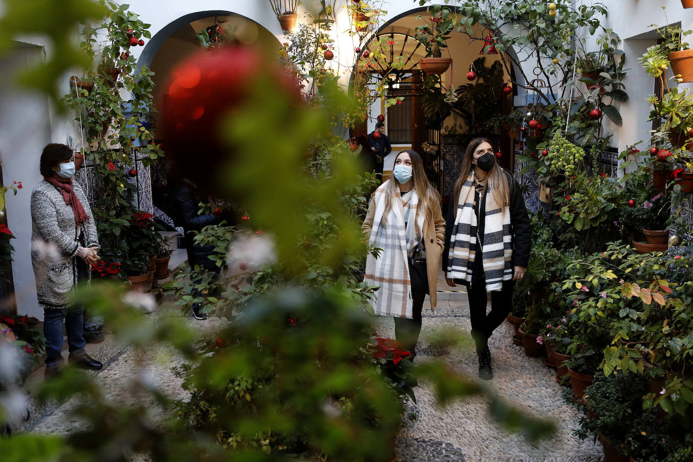 La apertura de los Patios de Córdoba en Navidad, en imágenes