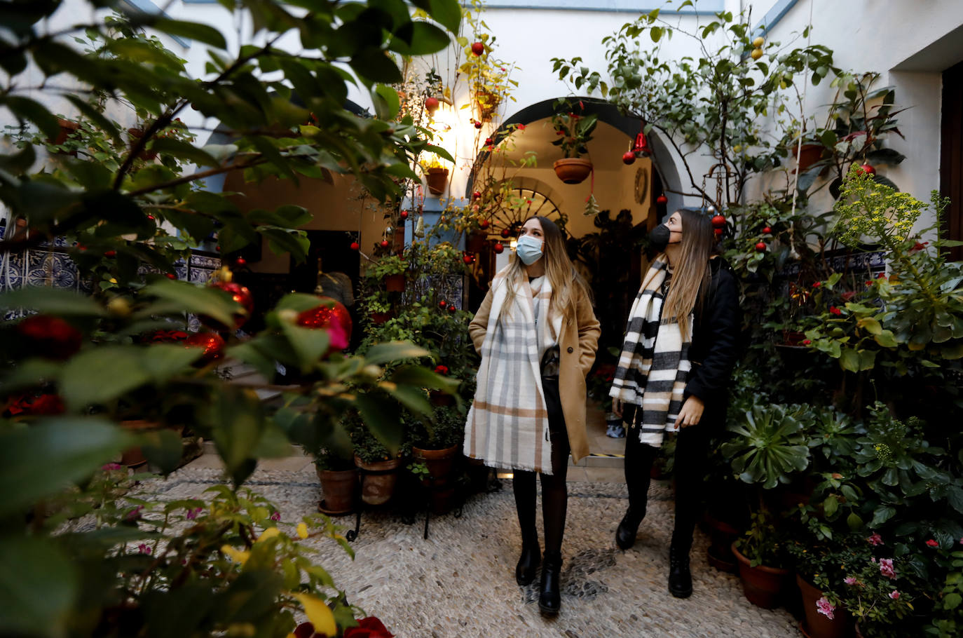 La apertura de los Patios de Córdoba en Navidad, en imágenes