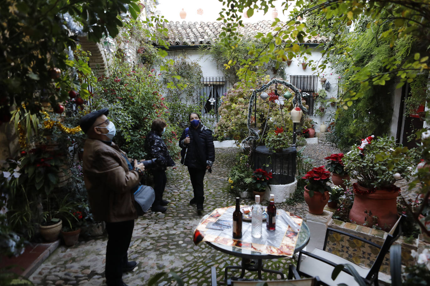 La apertura de los Patios de Córdoba en Navidad, en imágenes