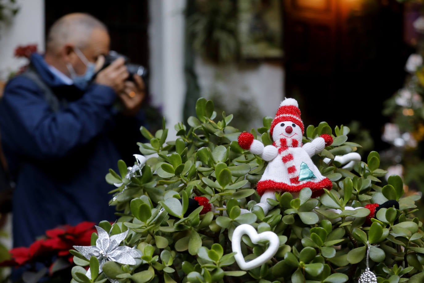 La apertura de los Patios de Córdoba en Navidad, en imágenes