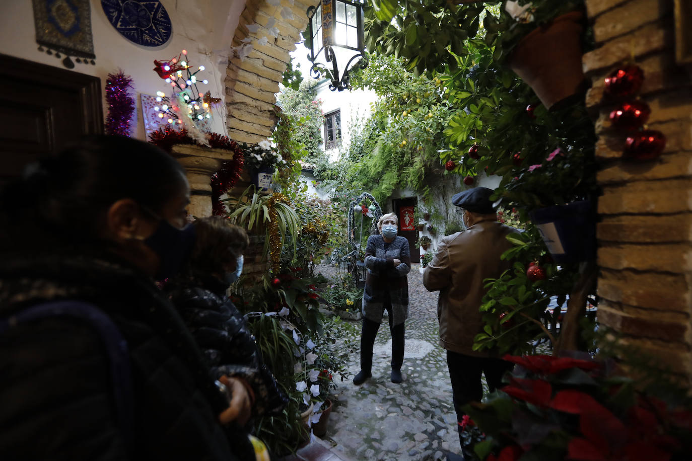 La apertura de los Patios de Córdoba en Navidad, en imágenes