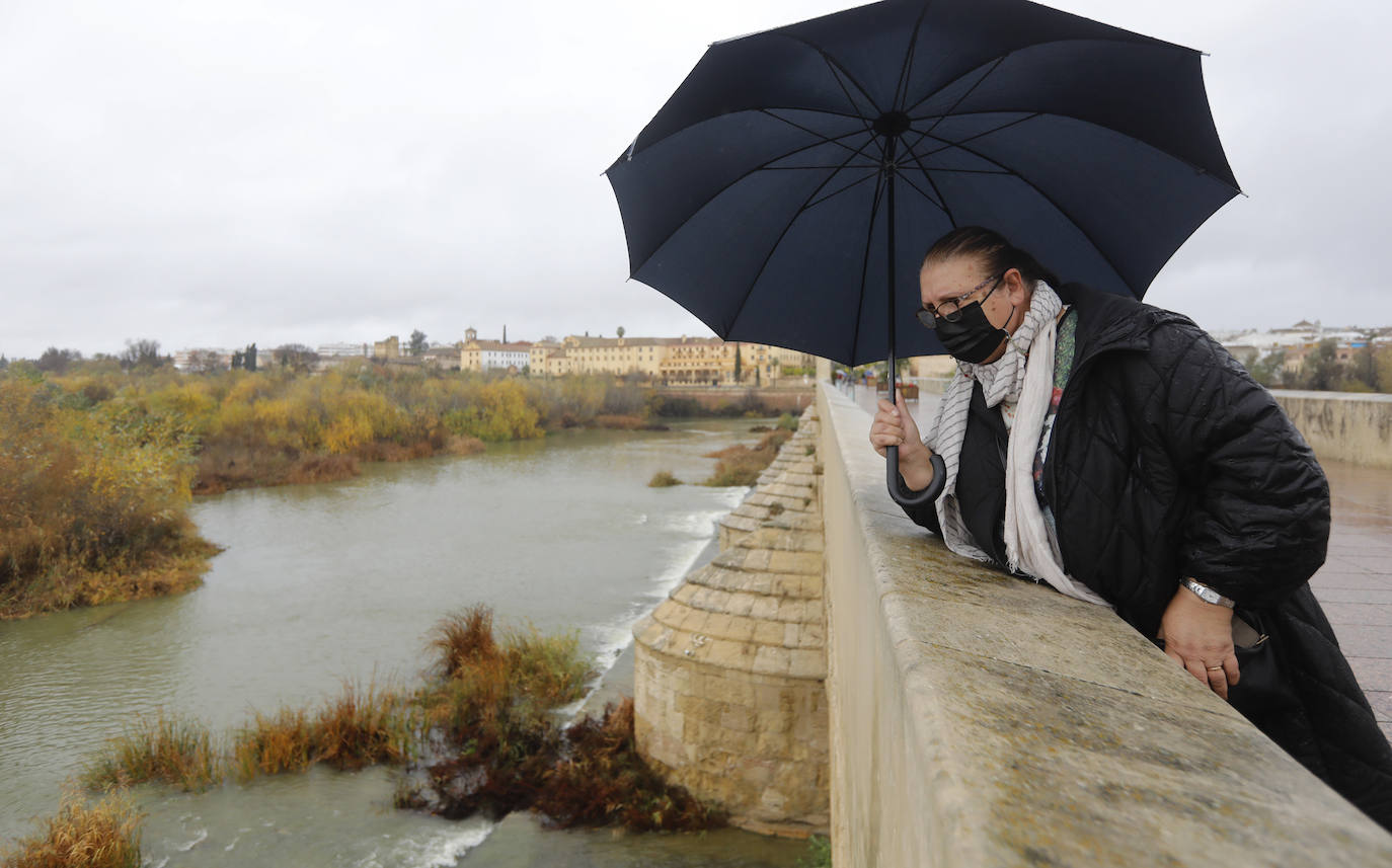 El impacto de las lluvias en el Guadalquivir en Córdoba, en imágenes