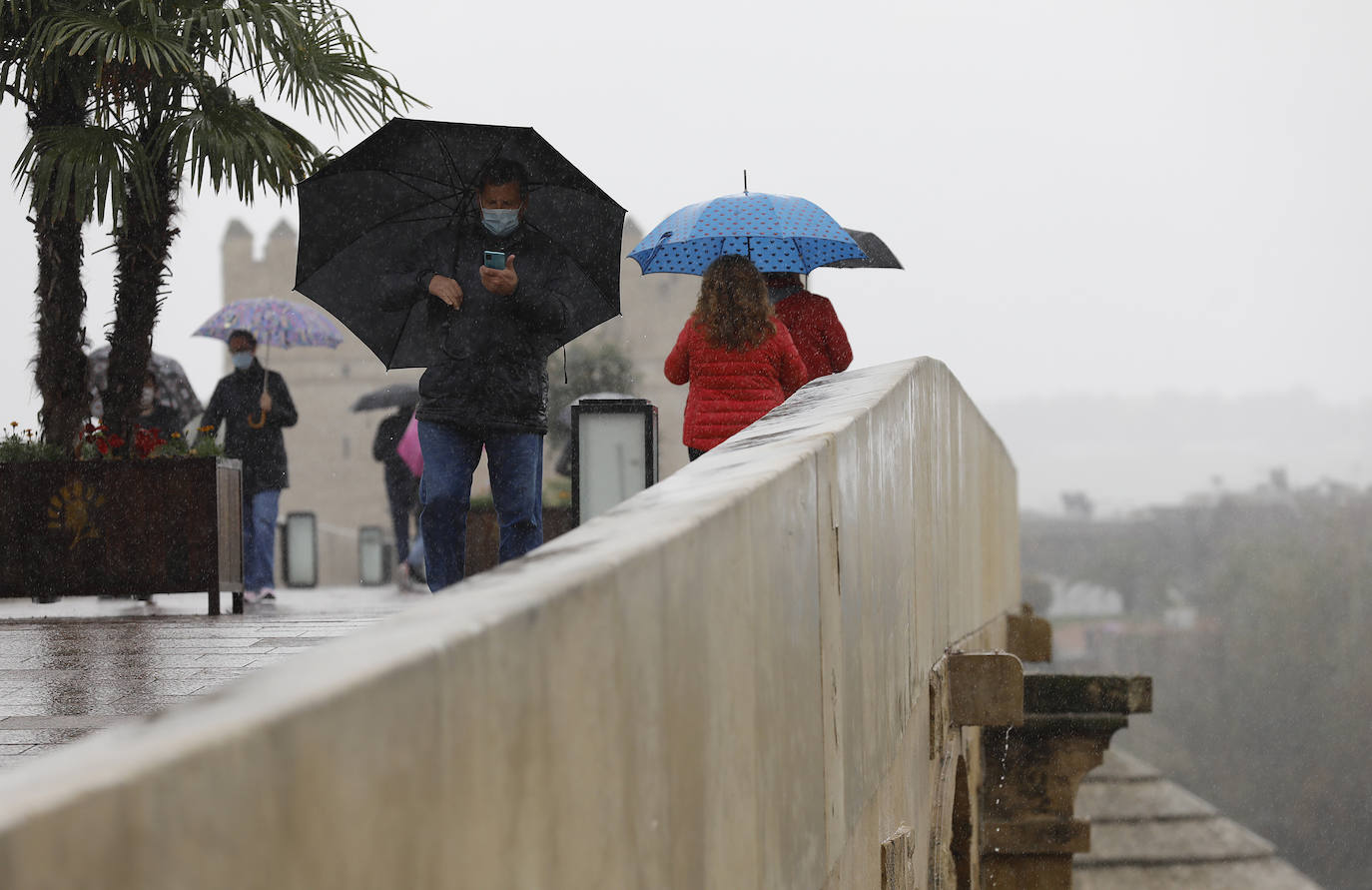 El impacto de las lluvias en el Guadalquivir en Córdoba, en imágenes