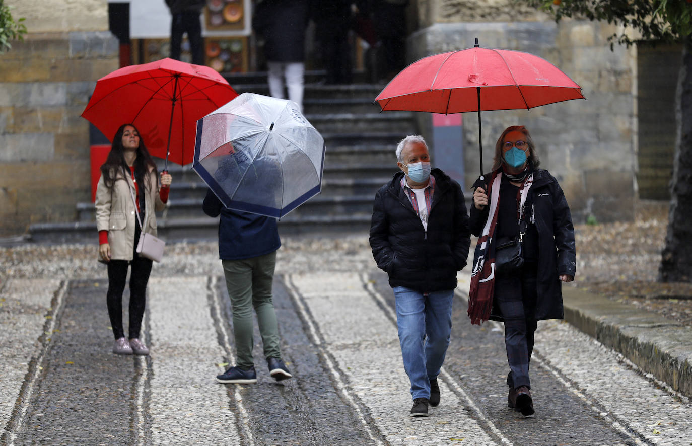 El impacto de las lluvias en el Guadalquivir en Córdoba, en imágenes