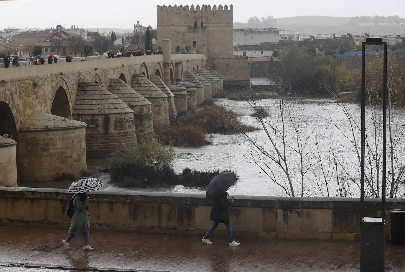 El impacto de las lluvias en el Guadalquivir en Córdoba, en imágenes