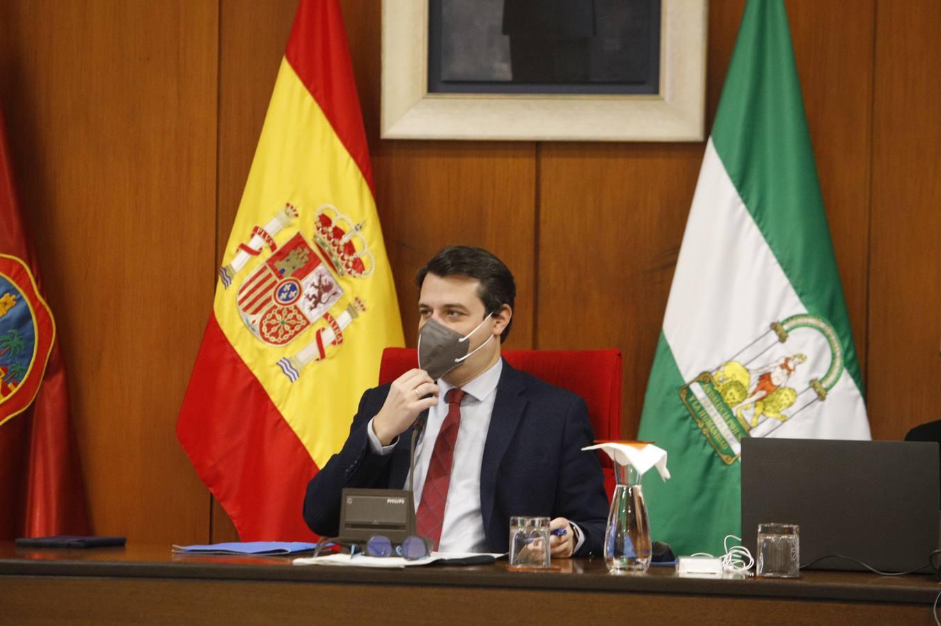 El Pleno de las ordenanzas fiscales de Córdoba, en imágenes