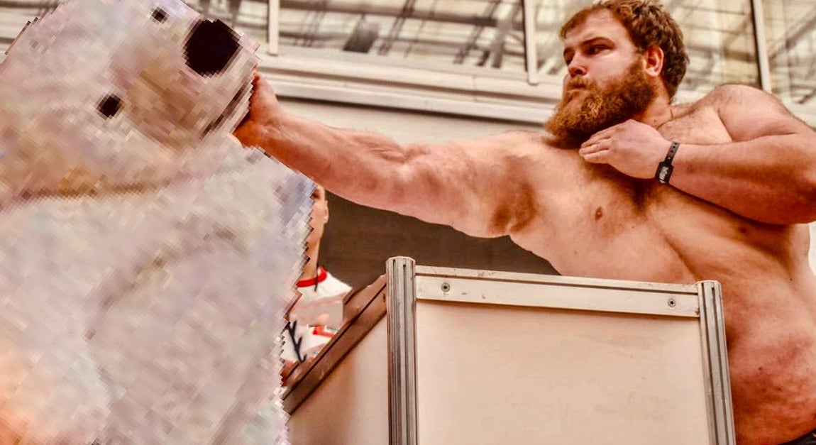 Los memes de la Cabalgata de Reyes Magos de Cádiz: un oso polar perjudicado da la vuelta al mundo