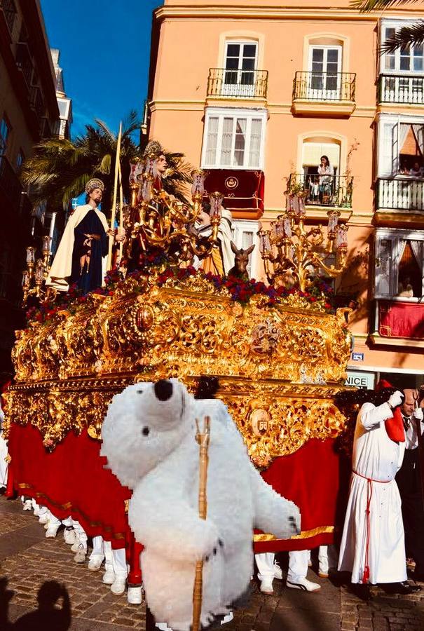 Los memes de la Cabalgata de Reyes Magos de Cádiz: un oso polar perjudicado da la vuelta al mundo