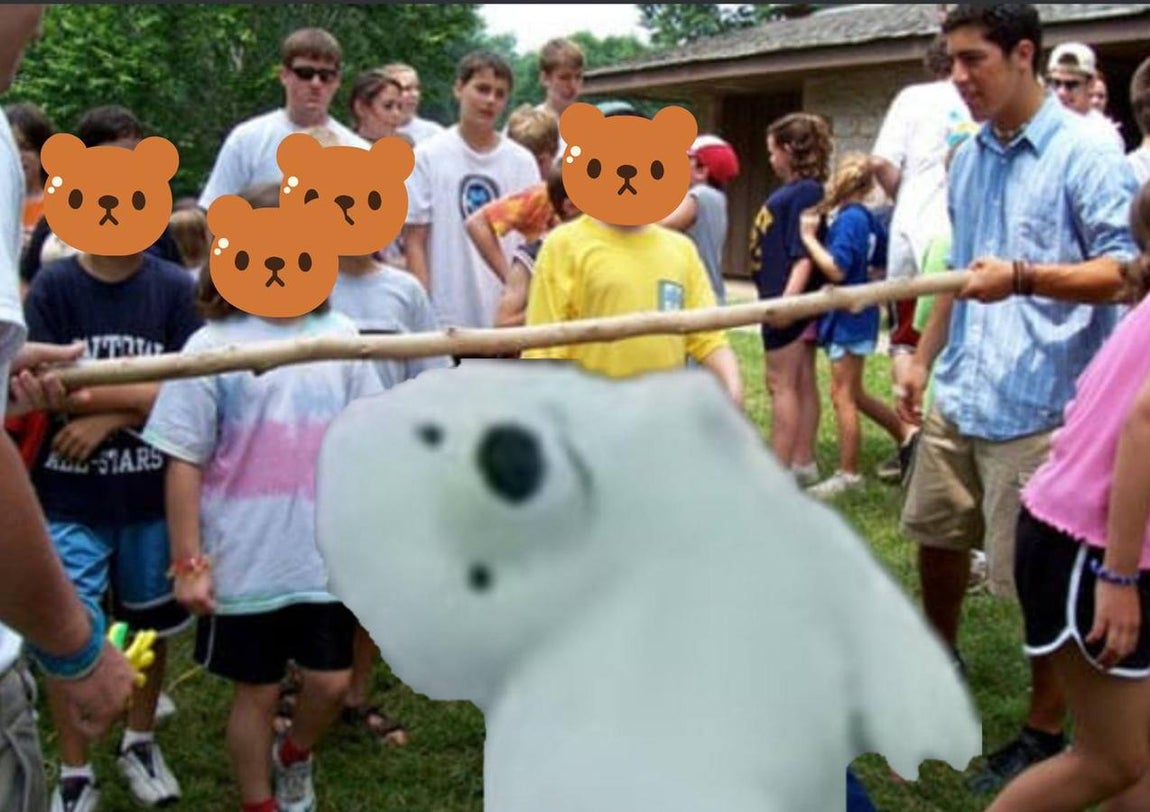 Los memes de la Cabalgata de Reyes Magos de Cádiz: un oso polar perjudicado da la vuelta al mundo