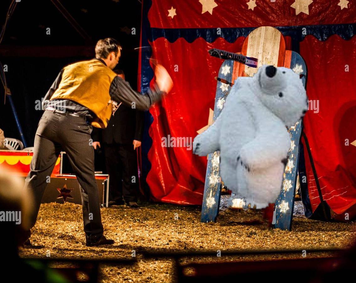 Los memes de la Cabalgata de Reyes Magos de Cádiz: un oso polar perjudicado da la vuelta al mundo