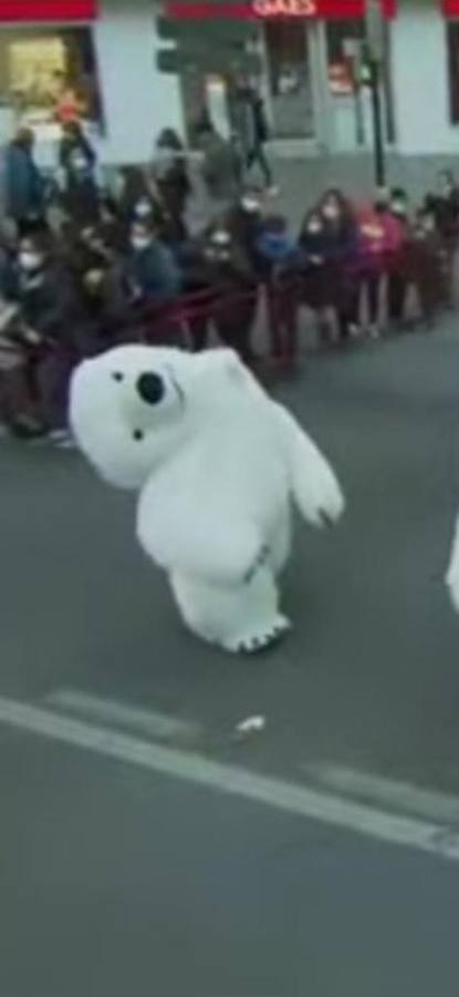 Los memes de la Cabalgata de Reyes Magos de Cádiz: un oso polar perjudicado da la vuelta al mundo
