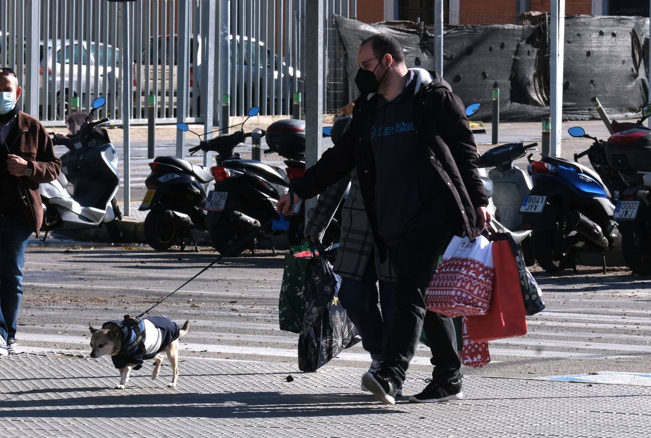 El ambiente de Cádiz en su Día de Reyes