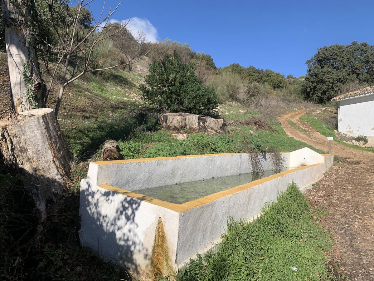 Las fuentes y manantiales de la Subbética de Córdoba, en imágenes