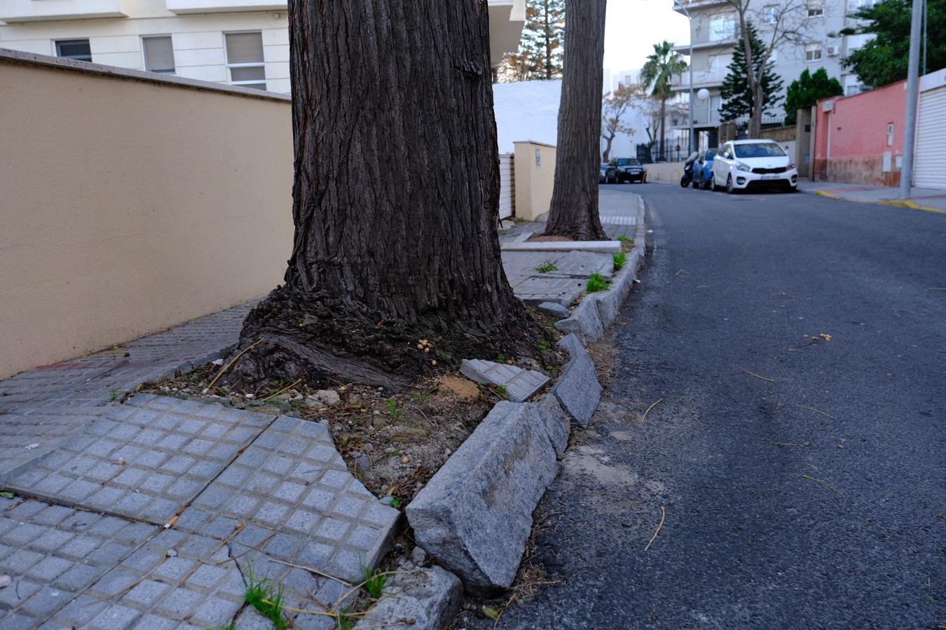 Fotos: El deterioro y abandono de Cádiz