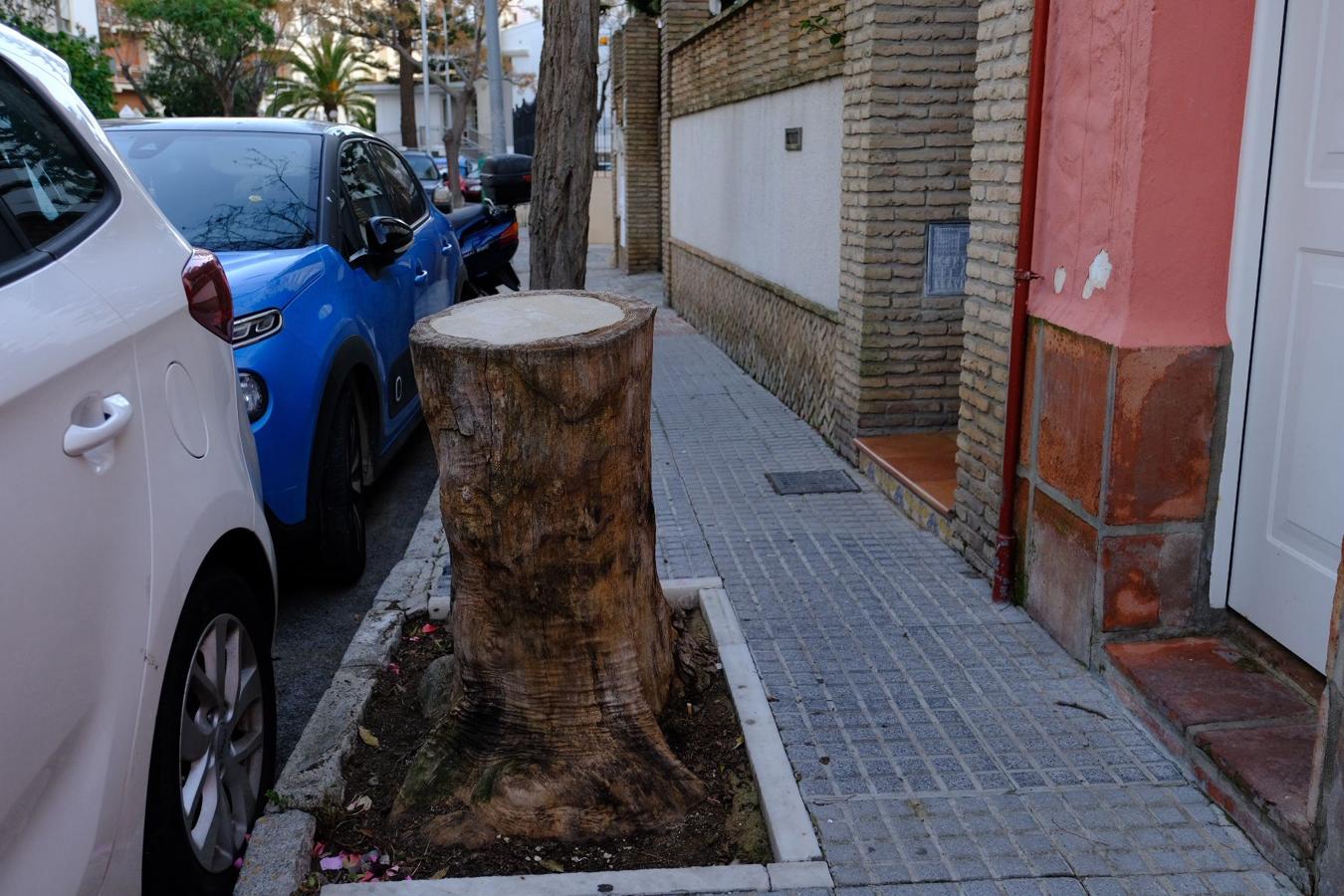 Fotos: El deterioro y abandono de Cádiz