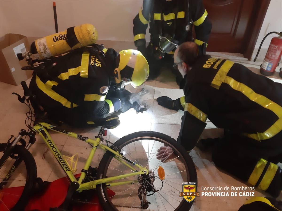 Fotos: incendio en una vivienda en Loreto, en Cádiz capital