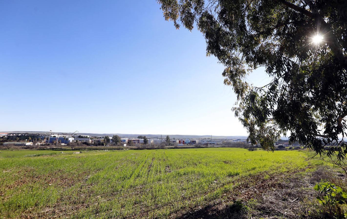 La huella del PGOU en Córdoba, en imágenes (II)