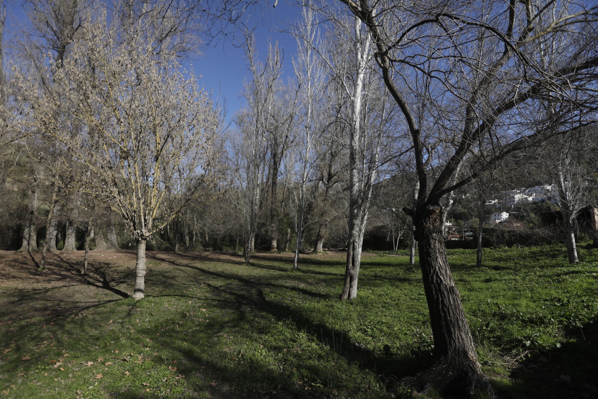 En imágenes: Conoce la localidad serrana de El Bosque