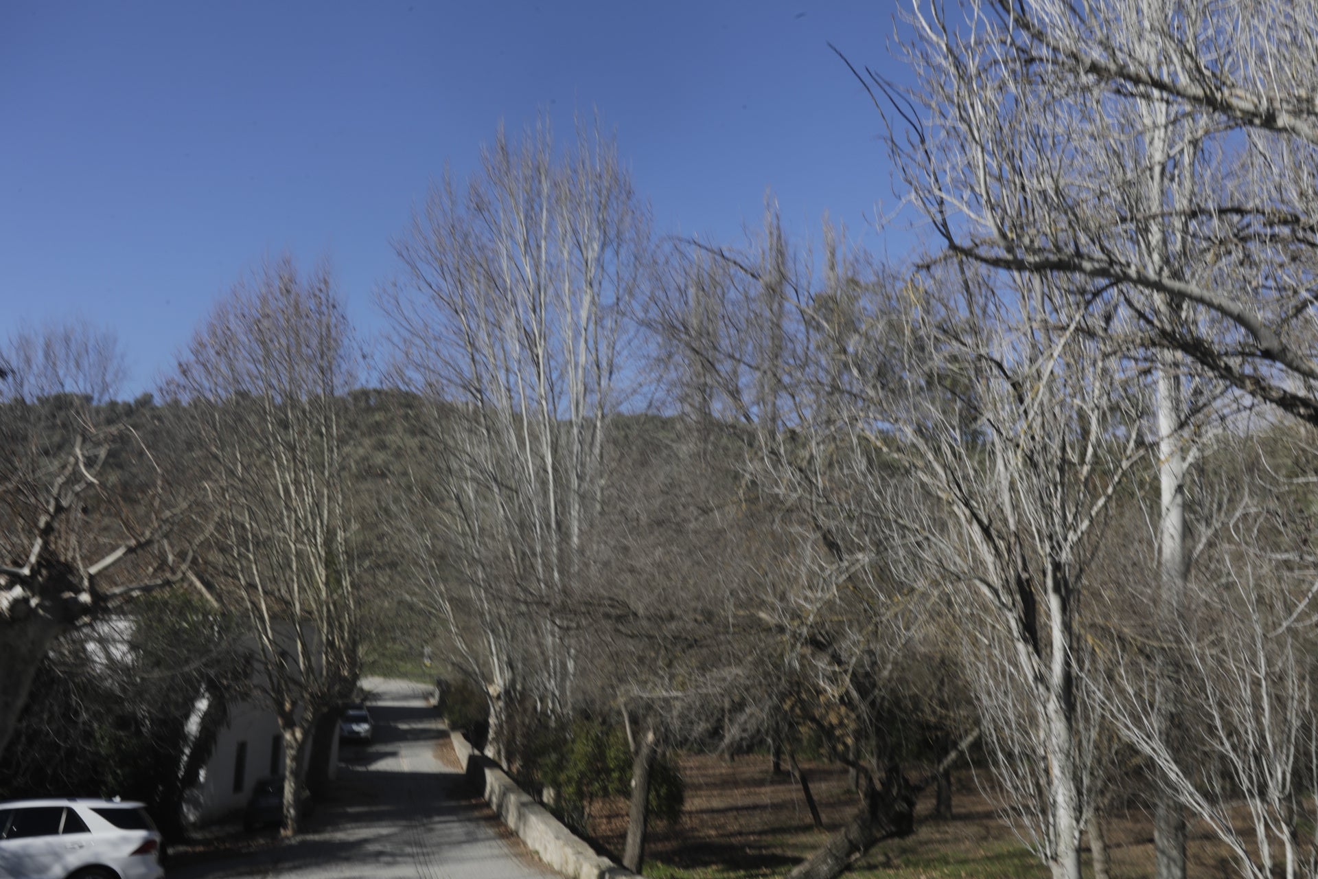 En imágenes: Conoce la localidad serrana de El Bosque