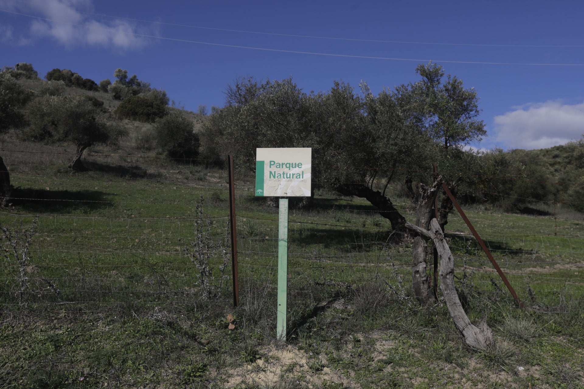 En imágenes: Conoce la localidad serrana de El Bosque