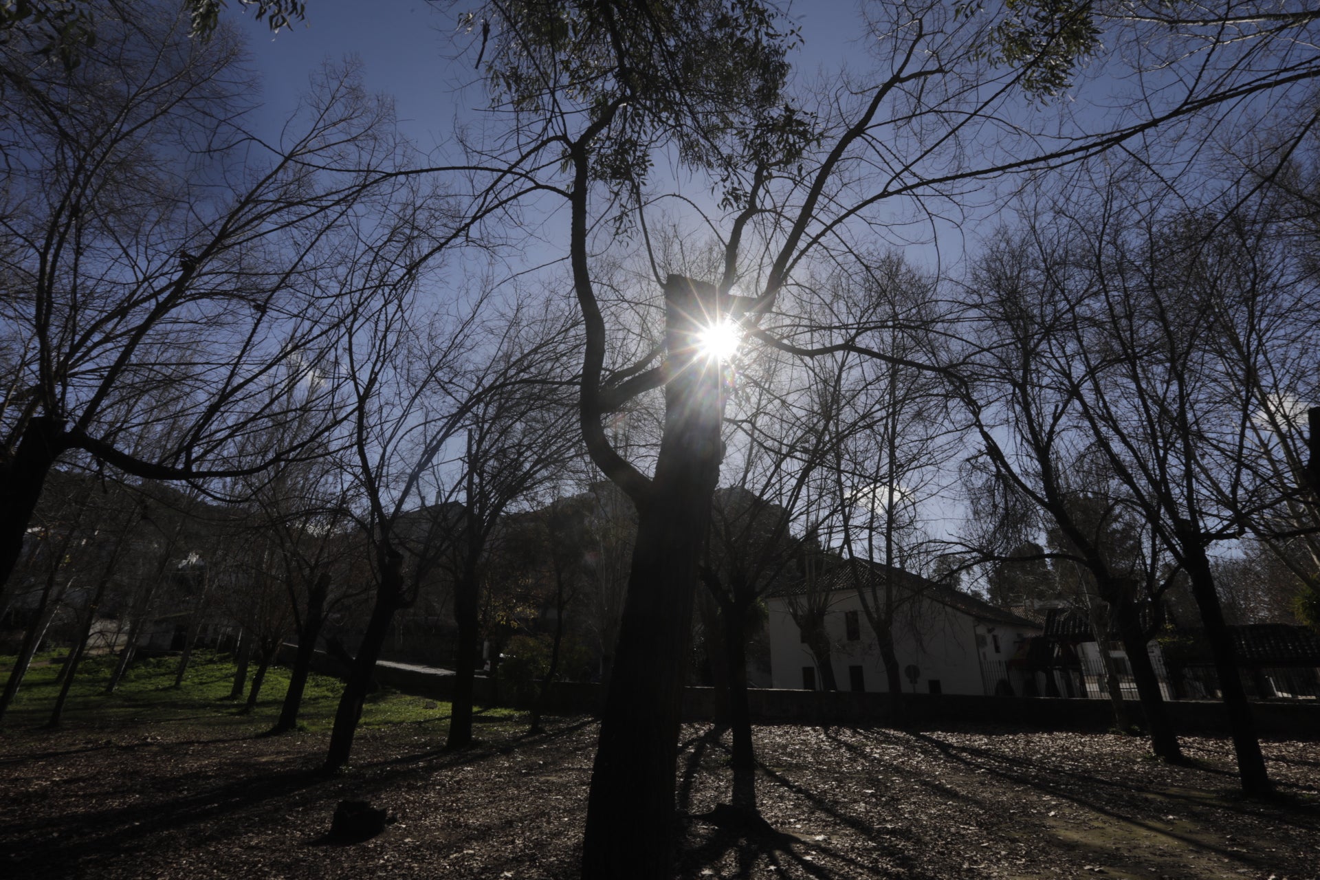 En imágenes: Conoce la localidad serrana de El Bosque