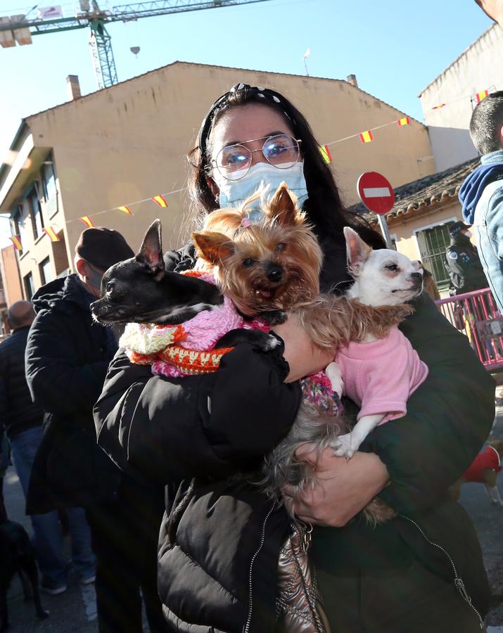 Se celebra San Antón tras dos años sin actos debido al Covid