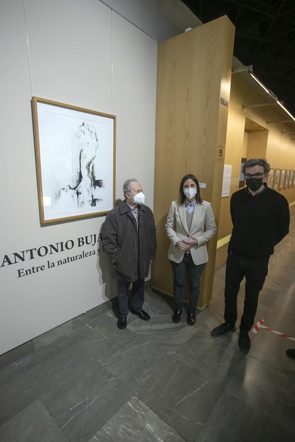 La exposición &#039;Donación Antonio Bujalance&#039; en Córdoba, en imágenes