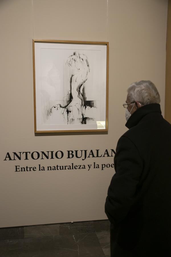 La exposición &#039;Donación Antonio Bujalance&#039; en Córdoba, en imágenes