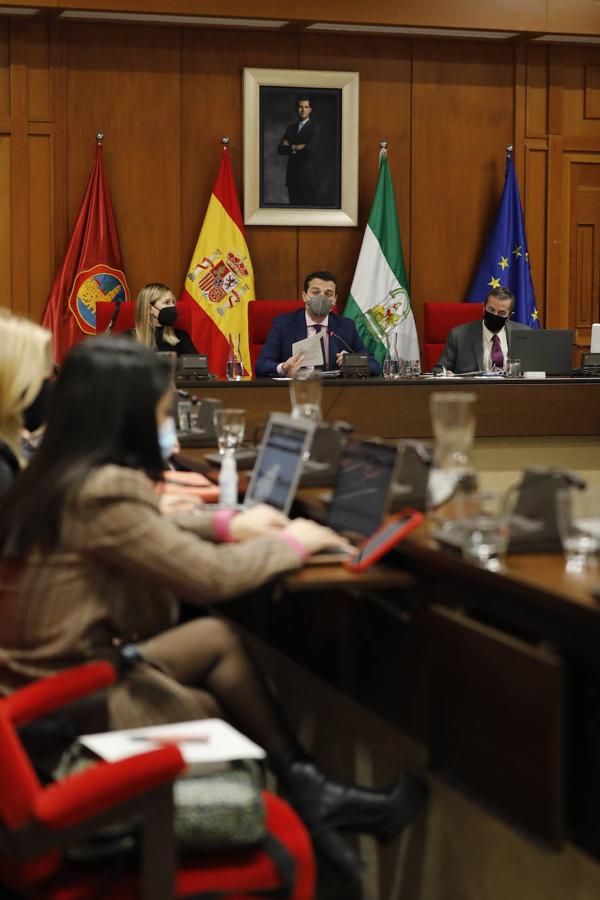 El Pleno del Ayuntamiento de Córdoba, en imágenes