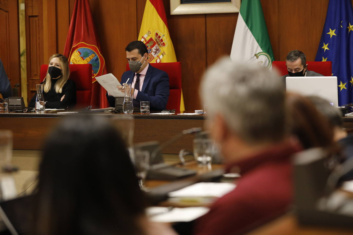 El Pleno del Ayuntamiento de Córdoba, en imágenes