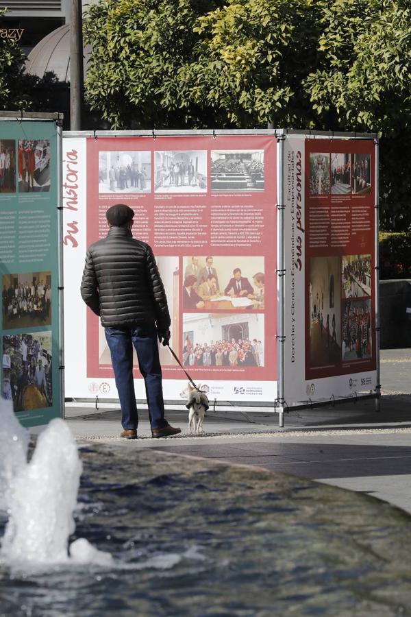 La exposición del 50 aniversario de la Universidad de Córdoba, en imágenes