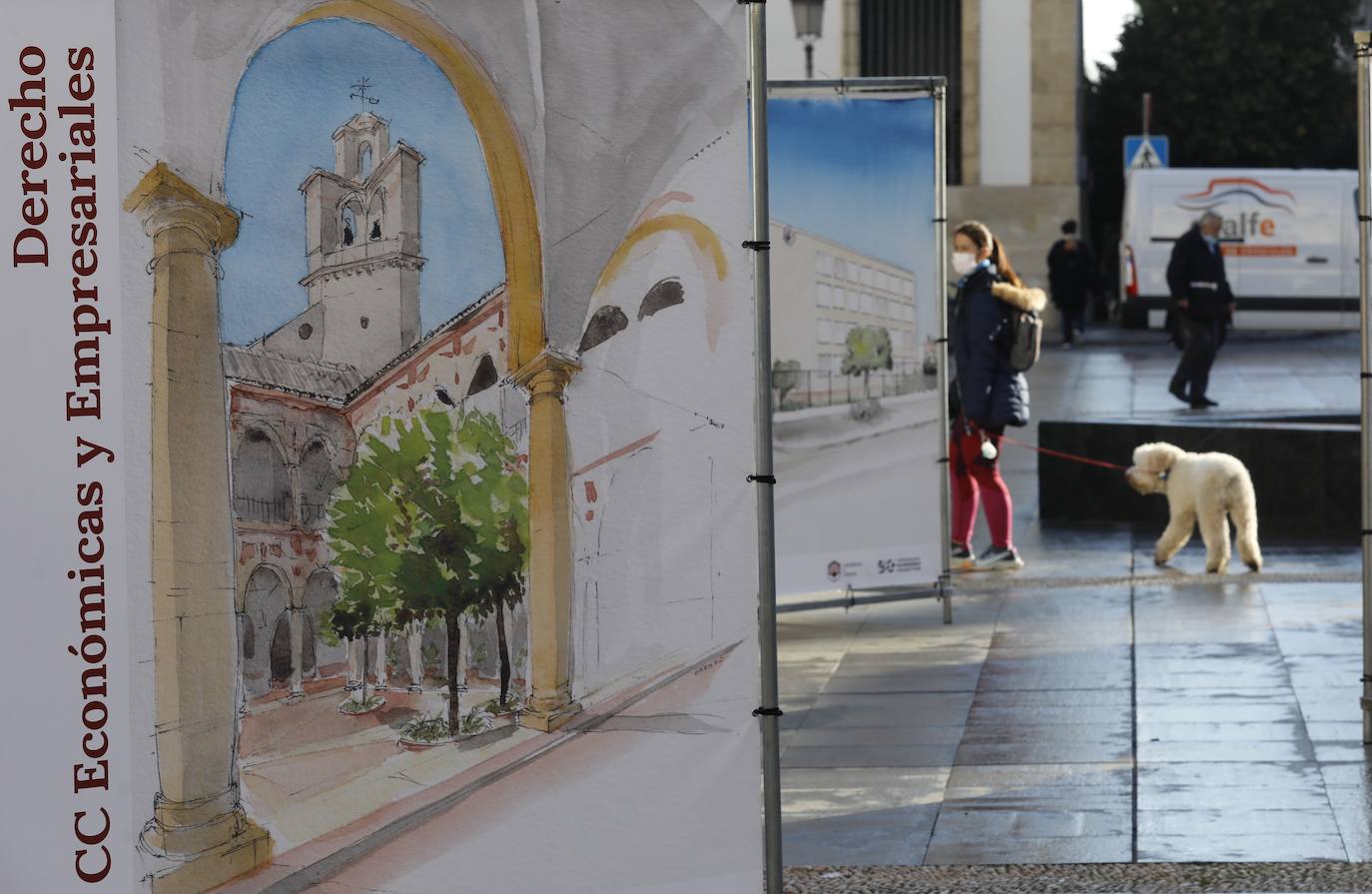 La exposición del 50 aniversario de la Universidad de Córdoba, en imágenes