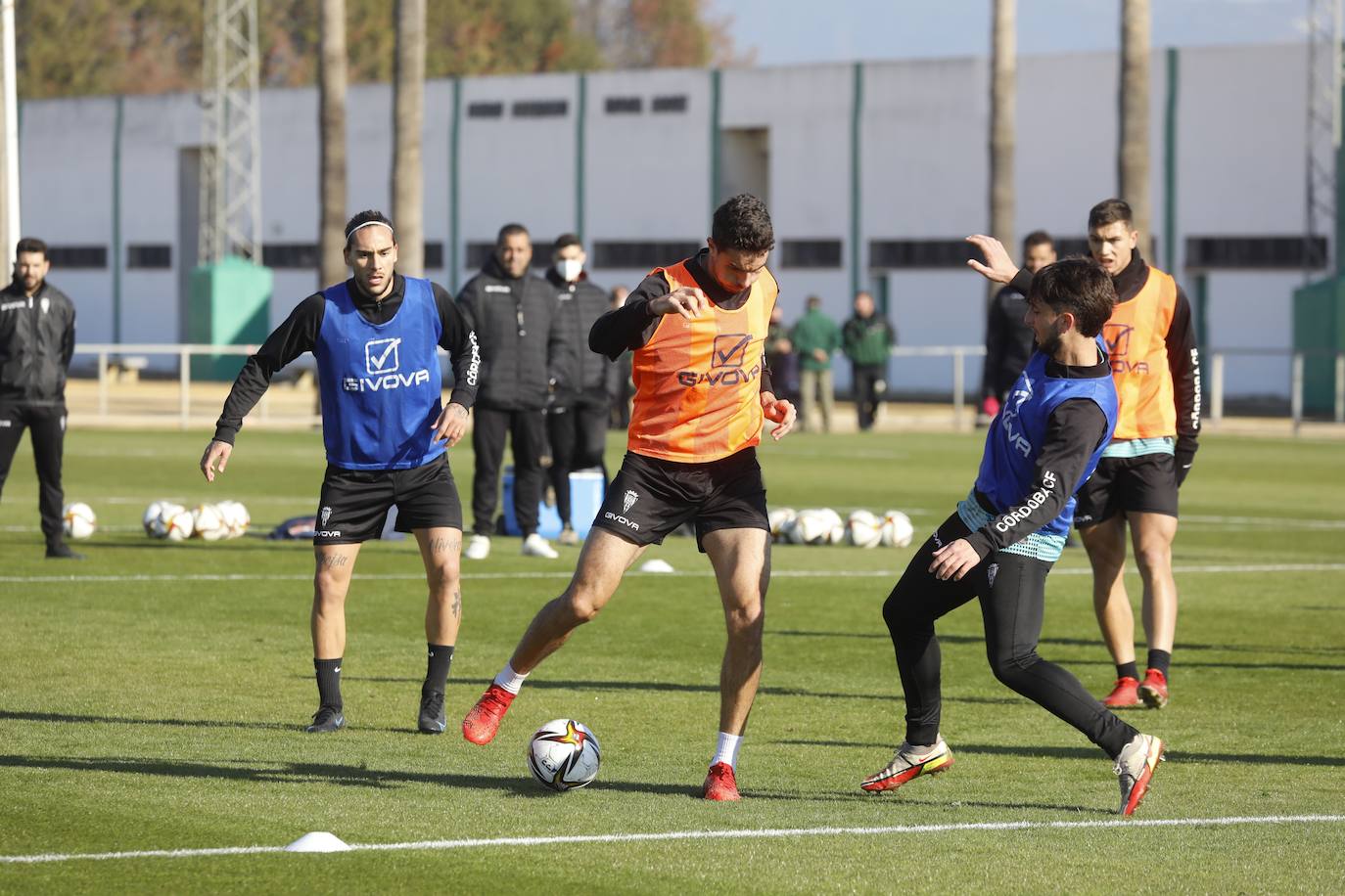 La primera jornada del fichaje Dragisa Gudelj con el Córdoba CF, en imágenes