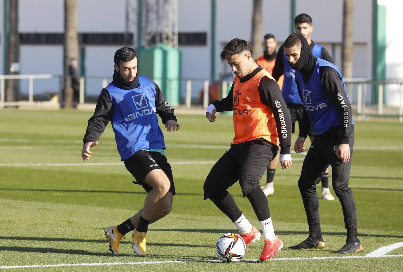 La primera jornada del fichaje Dragisa Gudelj con el Córdoba CF, en imágenes