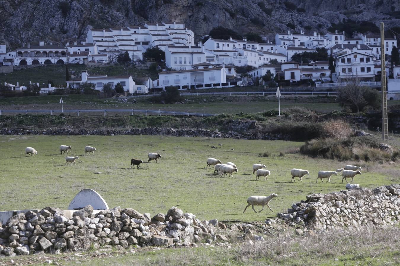 Fotos: las mejores imágenes de Benaocaz