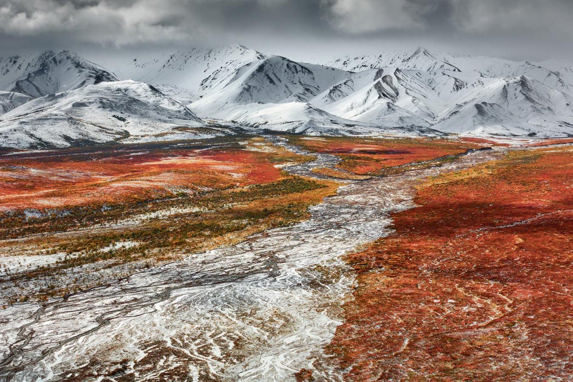 Mejor Fotógrafo del Año 2021: Fortunato Gatto, Italia. Fortunato Gatto, apasionado por los paisajes salvajes y la naturaleza virgen, ha sido el ganador absoluto a Mejor Fotógrafo del año de los Travel Photographer of the Year 2021. Hasta la fecha, el italiano ha retratado Escocia, país en el que reside desde 2007, y otros territorios salvajes con su visión única que se centra en capturar los cambios de estaciones y diferentes climas en páramos, montañas e islas. Además de esto, se dedica a realizar talleres, viajes fotográficos y exposiciones en las que no solo refleja su pasión por la fotografía, sino, también, su amor por la naturaleza. Algunas de sus instantáneas han sido expuestas en importantes galerías como el Museo Burke de Seattle y el Museo de Historia Natural de Londres. Para él, la postproducción representa una herramienta fundamental para optimizar y no alterar la integridad de la imagen tomada.